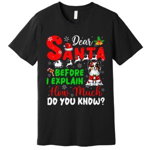 Before I Explain How Much You Know Xmas Papillon Owner Lover Premium T-Shirt