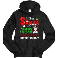 Before I Explain How Much You Know Xmas Papillon Owner Lover Tie Dye Hoodie