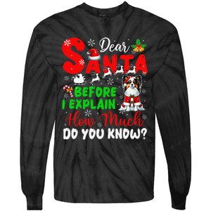 Before I Explain How Much You Know Xmas Papillon Owner Lover Tie-Dye Long Sleeve Shirt