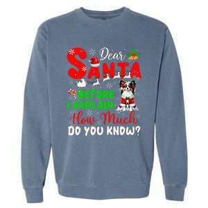 Before I Explain How Much You Know Xmas Papillon Owner Lover Garment-Dyed Sweatshirt