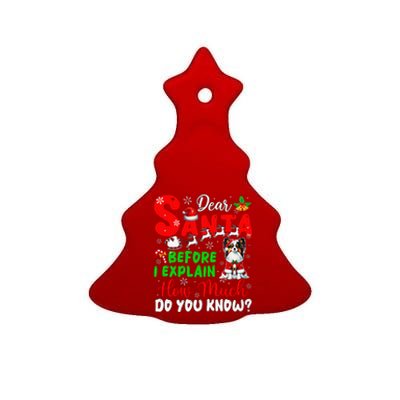 Before I Explain How Much You Know Xmas Papillon Owner Lover Ceramic Tree Ornament