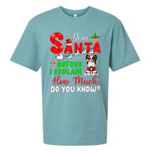 Before I Explain How Much You Know Xmas Papillon Owner Lover Sueded Cloud Jersey T-Shirt