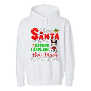 Before I Explain How Much You Know Xmas Papillon Owner Lover Garment-Dyed Fleece Hoodie