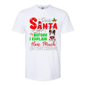 Before I Explain How Much You Know Xmas Papillon Owner Lover Softstyle CVC T-Shirt