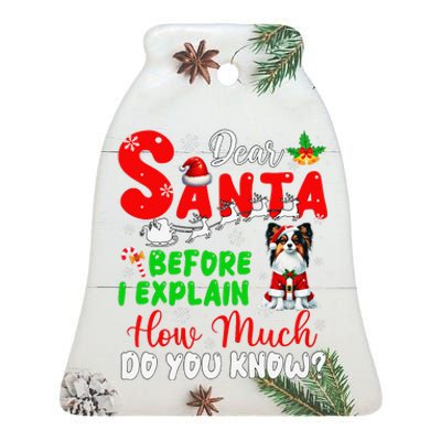 Before I Explain How Much You Know Xmas Papillon Owner Lover Ceramic Bell Ornament