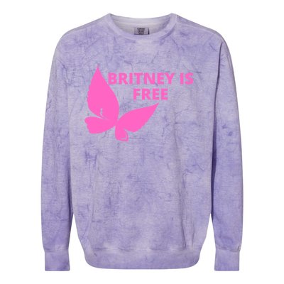 Britney Is Free Butterfly Colorblast Crewneck Sweatshirt