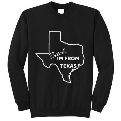 Bitch Im From Texas Funny State Outline Bbq Party Work Sweatshirt