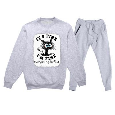 Bleached Its Fine IM Fine Everything Fine Nurse Teacher Cat Premium Crewneck Sweatsuit Set