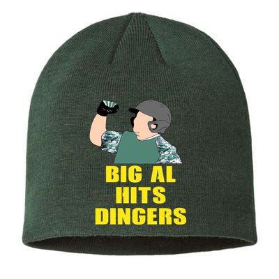 Big Al Hits Dingers Sustainable Beanie