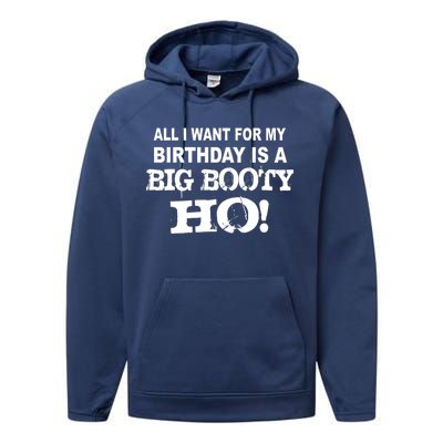 Big Booty Ho For My Birthday Performance Fleece Hoodie