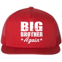 Big Brother Again Flat Bill Trucker Hat