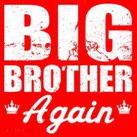 Big Brother Again 16 in Basic Backpack