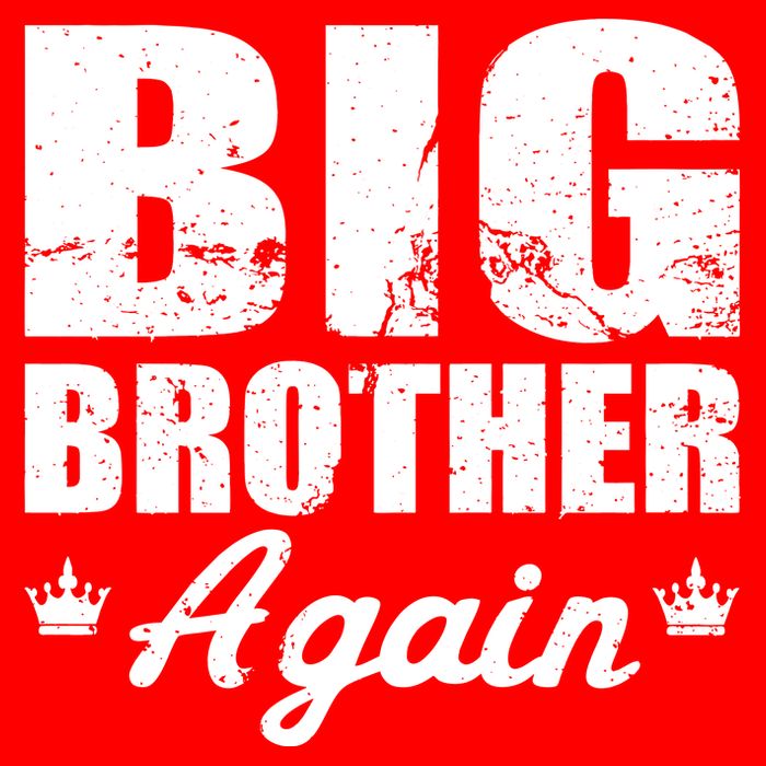 Big Brother Again Zip Tote Bag