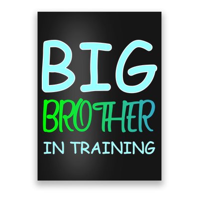 Big Brother In Training Poster