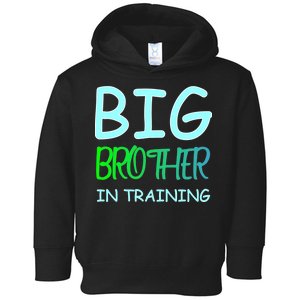 Big Brother In Training Toddler Hoodie