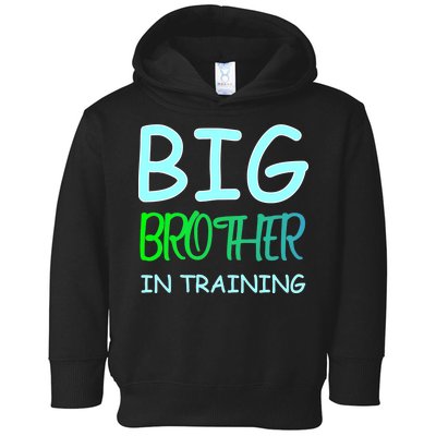 Big Brother In Training Toddler Hoodie