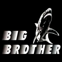 Big Brother Shark Funny Bro Cooling Performance Crew T-Shirt