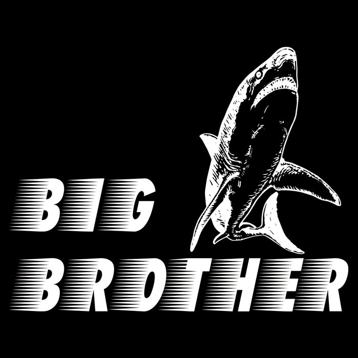 Big Brother Shark Funny Bro Cooling Performance Crew T-Shirt