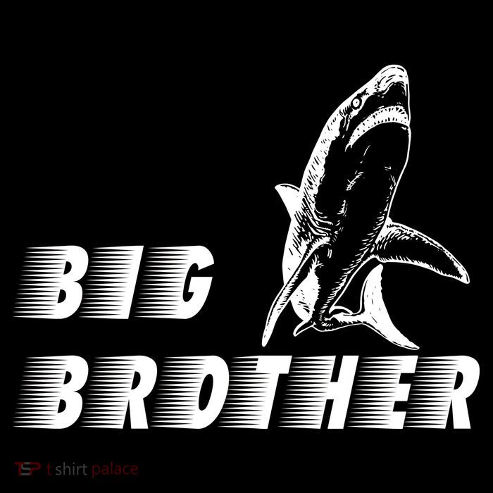 Big Brother Shark Funny Bro Wool Snapback Cap