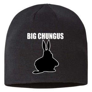 Big Chungus Funny Meme Sustainable Beanie