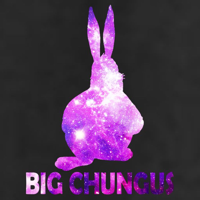 Big Chungus Galaxy Cool Comfort Performance Bucket Hat