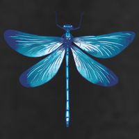 Big Dragonfly 7 Panel Mesh Trucker Snapback Hat