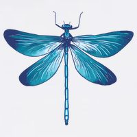 Big Dragonfly Womens T-Shirt