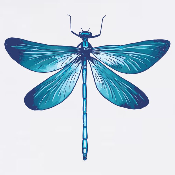 Big Dragonfly Womens T-Shirt