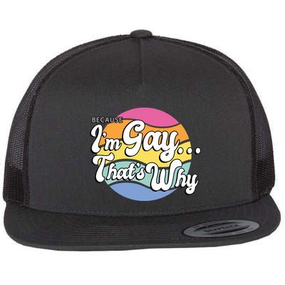 Because I'm Gay That's Why Funny LGBT Flatbill Hat