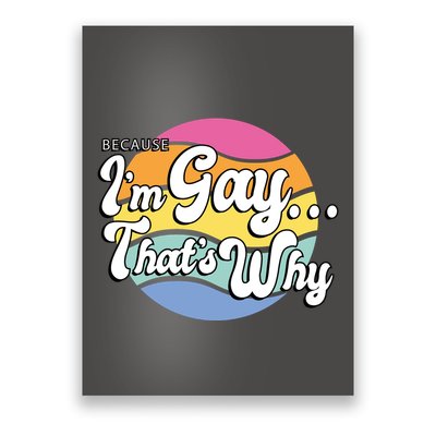Because I'm Gay That's Why Funny LGBT Poster