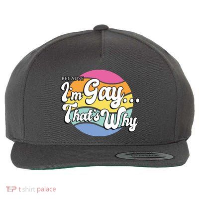 Because I'm Gay That's Why Funny LGBT Wool Snapback Cap