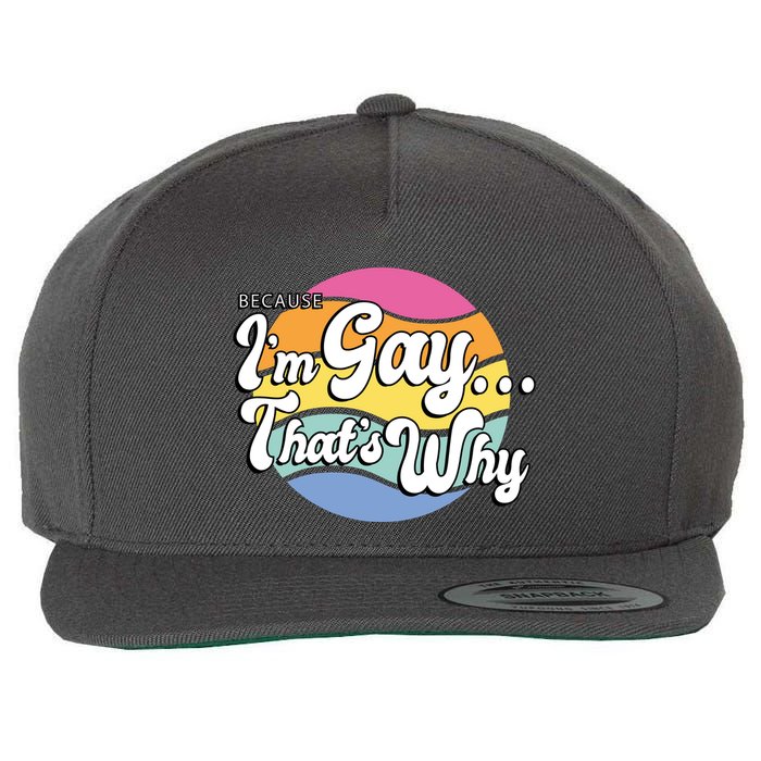 Because I'm Gay That's Why Funny LGBT Wool Snapback Cap