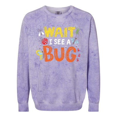 Bug Insect Gift For Entomologists And Bug Lovers Colorblast Crewneck Sweatshirt