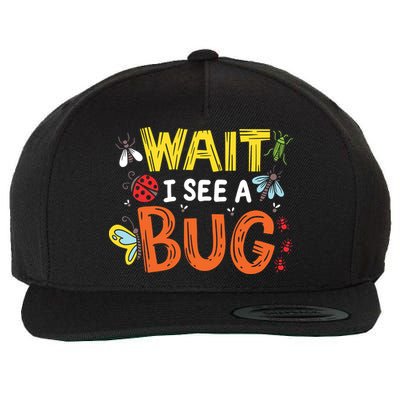 Bug Insect Gift For Entomologists And Bug Lovers Wool Snapback Cap
