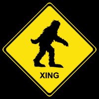 Bigfoot Crossing XING Cooling Performance Crew T-Shirt