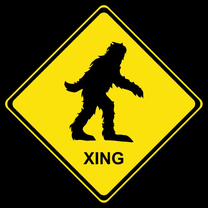 Bigfoot Crossing XING Cooling Performance Crew T-Shirt