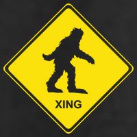 Bigfoot Crossing XING Trucker Hat