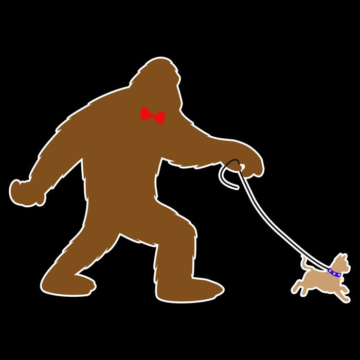 Bigfoot Walking Chihuahua Dog Womens T-Shirt