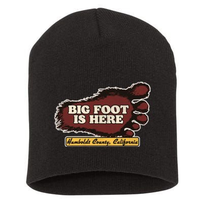 Bigfoot Is Here! Sasquatch Cryptozoology Short Acrylic Beanie