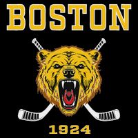 Boston Ice Hockey Fear The Bear Impact Tech Backpack