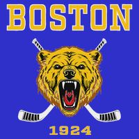 Boston Ice Hockey Fear The Bear 16 in Basic Backpack