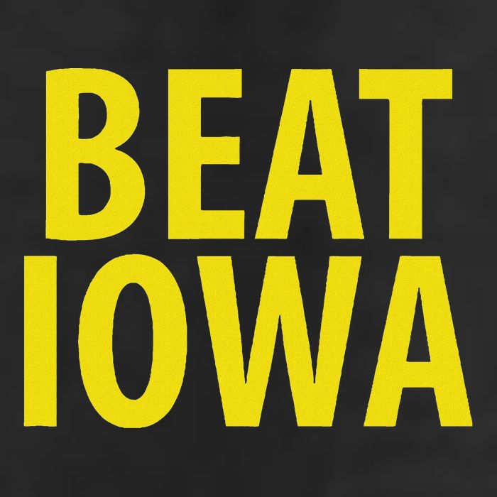 Beat Iowa House Divided State Of Ia 11oz C Handle Ceramic Mug