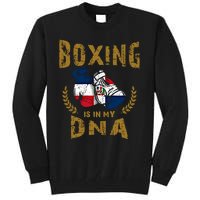 Boxing Is In My Dna Dominican Republic Flag Boxing Gloves Gift Tall Sweatshirt