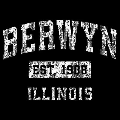 Berwyn Illinois Il Vintage Established Sports Design T-Shirt