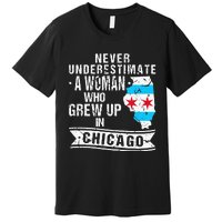 Born in Illinois Flag Chicago Premium T-Shirt