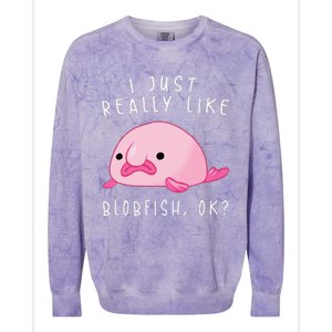 Blobfish I Just Really Like Blobfish OK Gift Stuff Colorblast Crewneck Sweatshirt