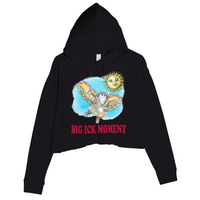 Big Ick Moment Cat Lover Crop Fleece Hoodie