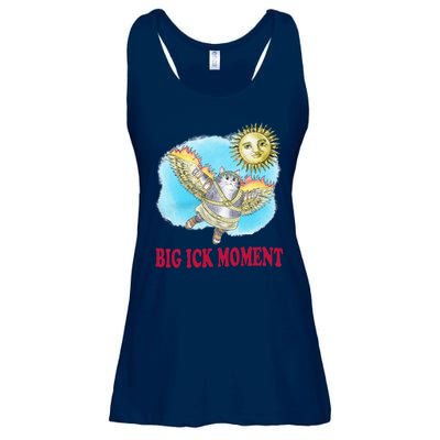 Big Ick Moment Cat Lover Ladies Essential Flowy Tank