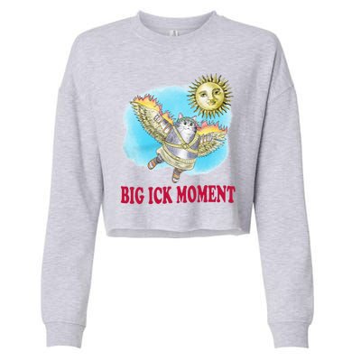 Big Ick Moment Cat Lover Cropped Pullover Crew