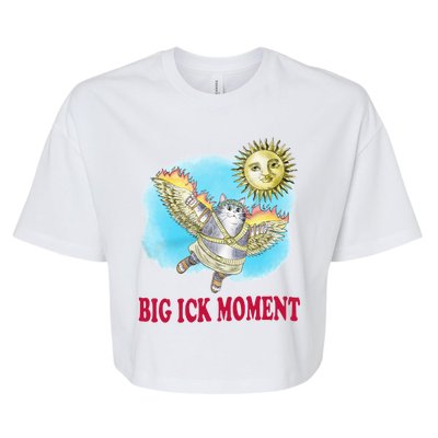 Big Ick Moment Cat Lover Bella+Canvas Jersey Crop Tee